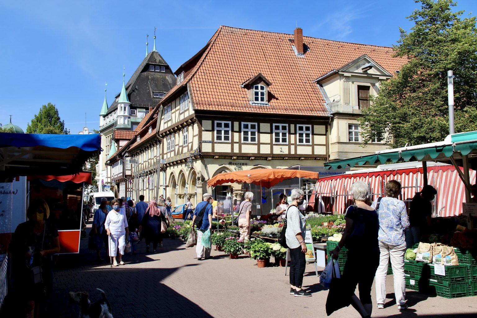 Celler Wochen-Markt in der Altstadt